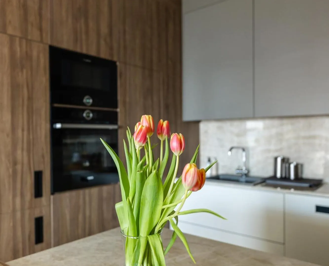 Luxury Apartment Daniela Kozino Croatia
